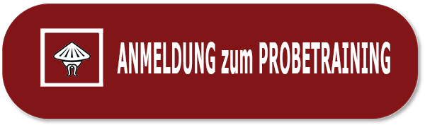 Anmeldung Ving Tsun Probetraining