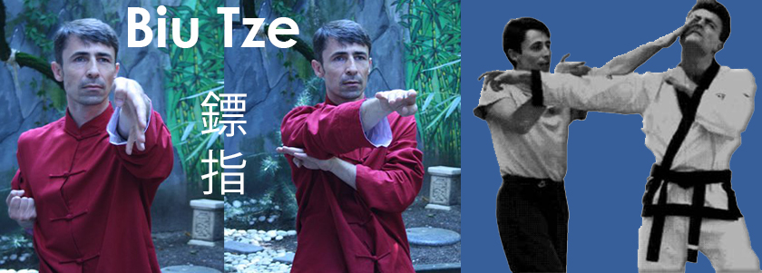 Ving Tsun Biu Tze Sifu Dusan Drazic Martial Arts Center Ving Tsun Biu Tze Sifu Dusan Drazic Martial Arts Center